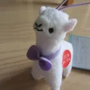 nijimaruの画像