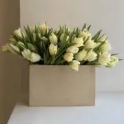 kaの画像
