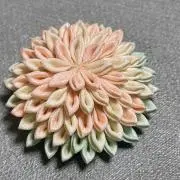 わんこの画像