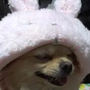 MYKMamaの画像