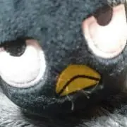 にゃーにゃん。の画像