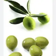 oliveの画像