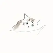 ミートの画像