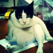Miitaro