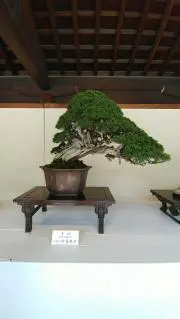 成一郎の画像