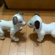 柚子の画像