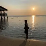 tomoの画像