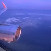 すもも