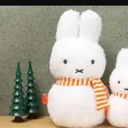 断捨離中☆お徳なオークション開催中☆の画像