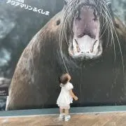 Ayumi.sの画像