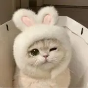 ゆう