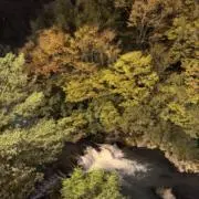 鼻でかの画像