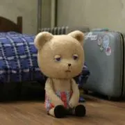 ぽんの画像
