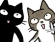MOPの画像