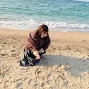 みかんの画像