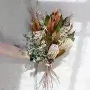 Naの画像