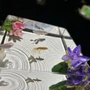 yuan☆の画像