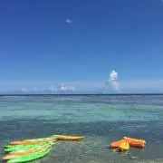 ひかりんご