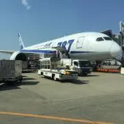 たぬ吉の画像