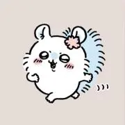 柚の画像