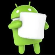 nexus