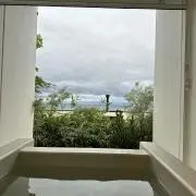 トラトラの画像