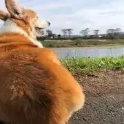 件