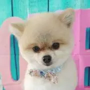 たろうの画像