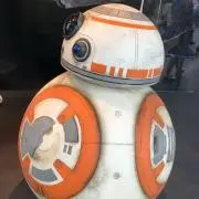ハルの画像