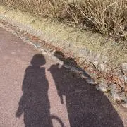 Miruの画像