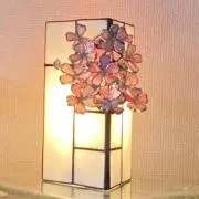 キララの画像