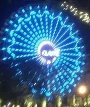 つくつく法師の画像