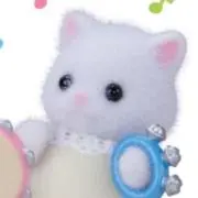 しあの画像