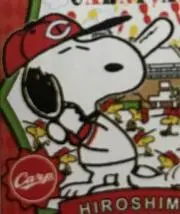 ぽめっちの画像