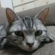 ちゅうの画像