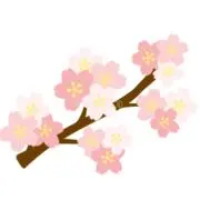 Sakuraの画像