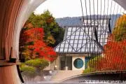 MIHOMIHO1013の画像