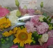 ⭕即購入⭕即日発送❇️ゆっぴーのママ❇️