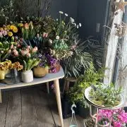 anjiの画像