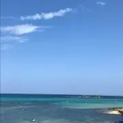 あーたん