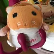 るんぽつ店長の画像
