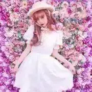 ポン(発送再開)の画像