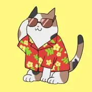 山中