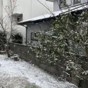 たかせ
