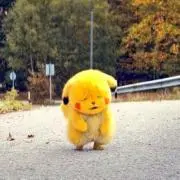 RINの画像