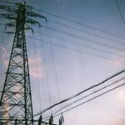 taviの画像