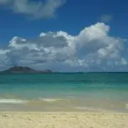 なつの画像