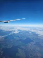 ありたの画像