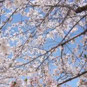 断捨離のスエの画像