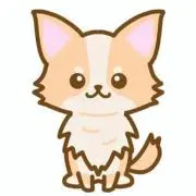 チワッワの画像